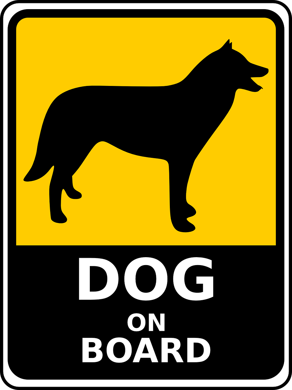 transportbox für hunde